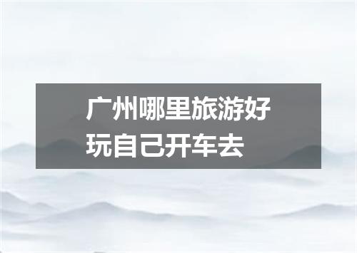 广州哪里旅游好玩自己开车去