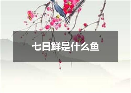七日鲜是什么鱼