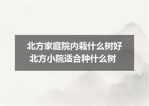 北方家庭院内栽什么树好 北方小院适合种什么树