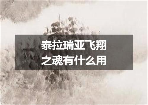 泰拉瑞亚飞翔之魂有什么用