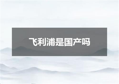 飞利浦是国产吗