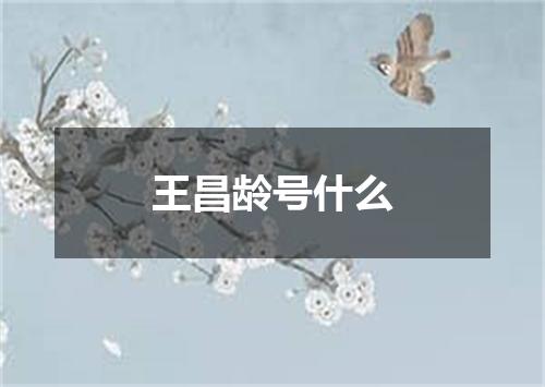 王昌龄号什么