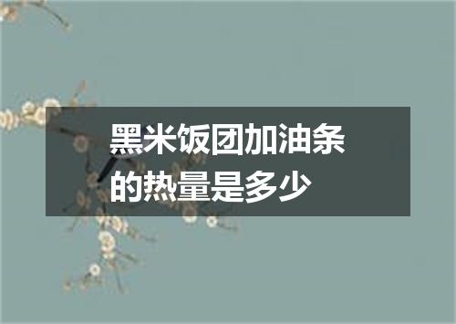 黑米饭团加油条的热量是多少