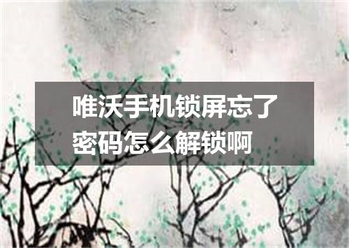唯沃手机锁屏忘了密码怎么解锁啊