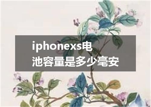 iphonexs电池容量是多少毫安