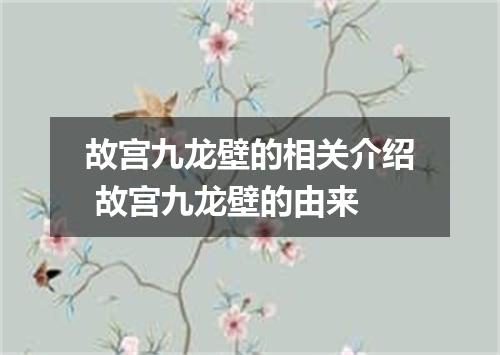 故宫九龙壁的相关介绍 故宫九龙壁的由来