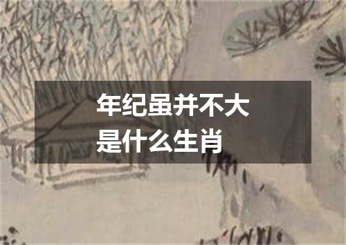 年纪虽并不大是什么生肖