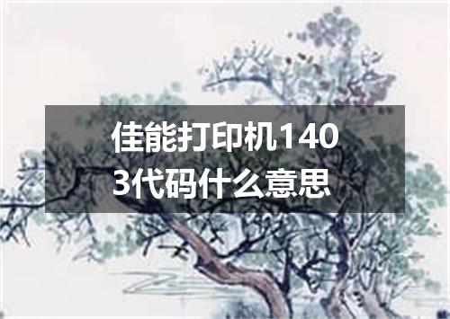 佳能打印机1403代码什么意思