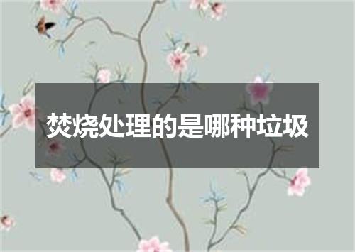 焚烧处理的是哪种垃圾