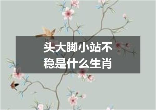 头大脚小站不稳是什么生肖