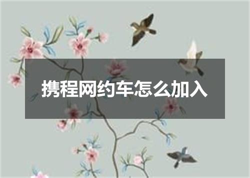 携程网约车怎么加入