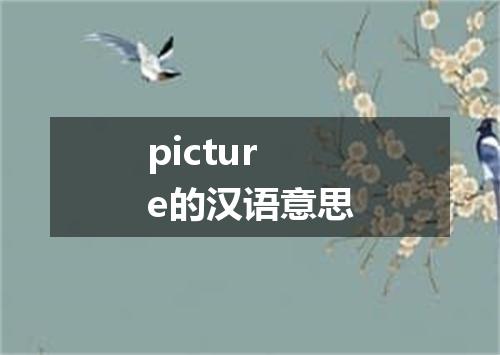 picture的汉语意思