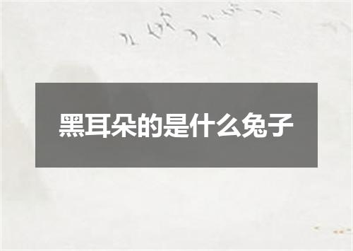 黑耳朵的是什么兔子