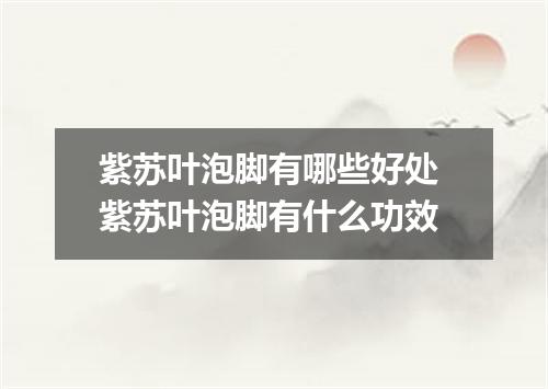 紫苏叶泡脚有哪些好处 紫苏叶泡脚有什么功效