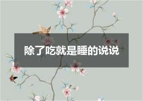 除了吃就是睡的说说