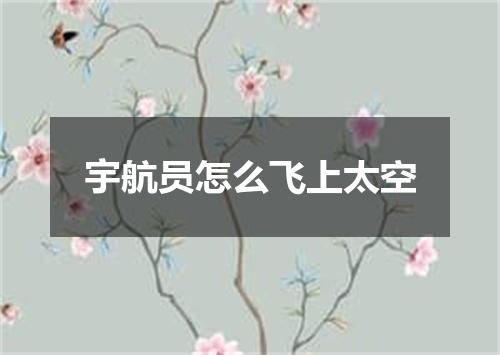 宇航员怎么飞上太空