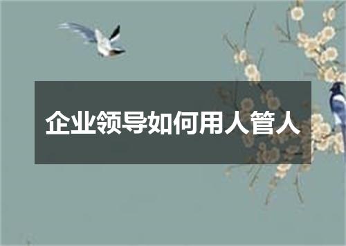 企业领导如何用人管人