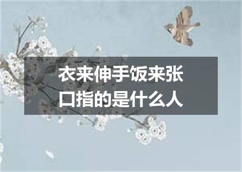 衣来伸手饭来张口指的是什么人