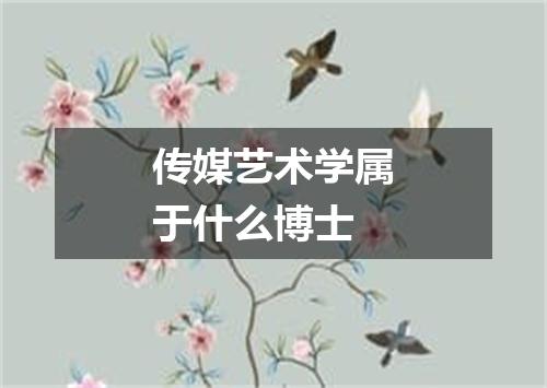 传媒艺术学属于什么博士