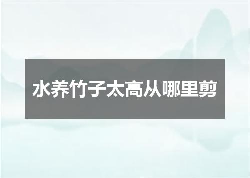 水养竹子太高从哪里剪