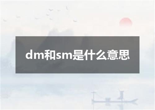 dm和sm是什么意思