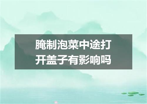 腌制泡菜中途打开盖子有影响吗