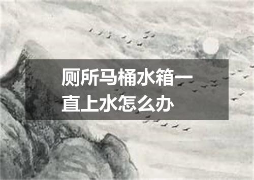 厕所马桶水箱一直上水怎么办