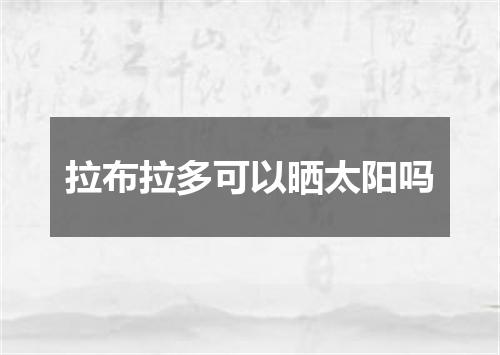 拉布拉多可以晒太阳吗