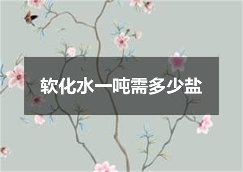 软化水一吨需多少盐