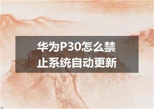 华为P30怎么禁止系统自动更新
