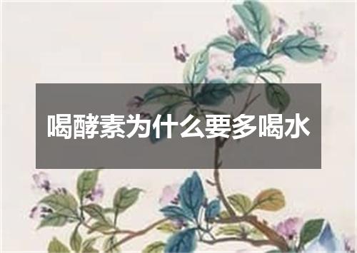 喝酵素为什么要多喝水