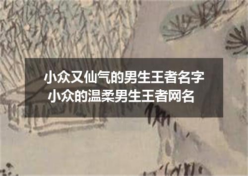小众又仙气的男生王者名字 小众的温柔男生王者网名