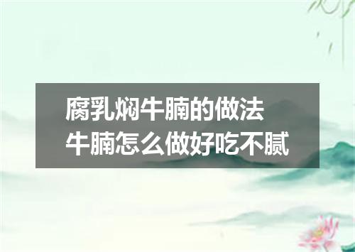 腐乳焖牛腩的做法 牛腩怎么做好吃不腻