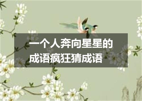 一个人奔向星星的成语疯狂猜成语