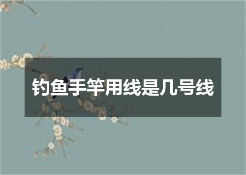 钓鱼手竿用线是几号线