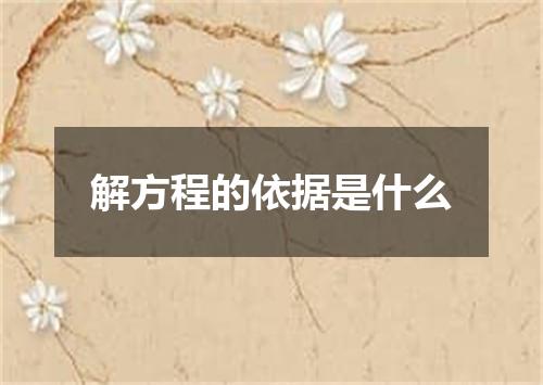 解方程的依据是什么