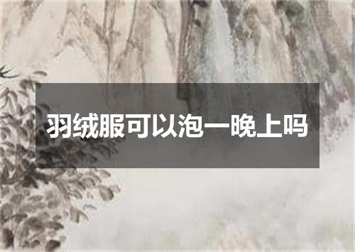 羽绒服可以泡一晚上吗