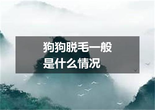 狗狗脱毛一般是什么情况