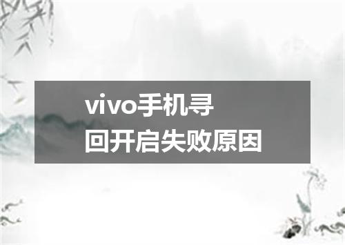 vivo手机寻回开启失败原因