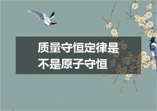 质量守恒定律是不是原子守恒