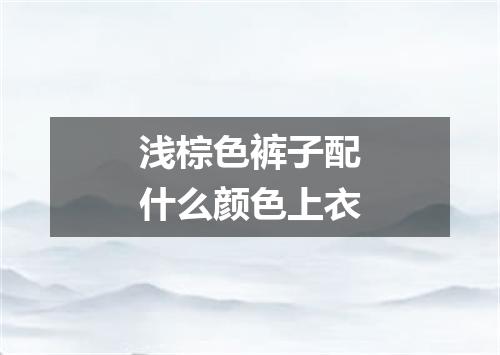 浅棕色裤子配什么颜色上衣
