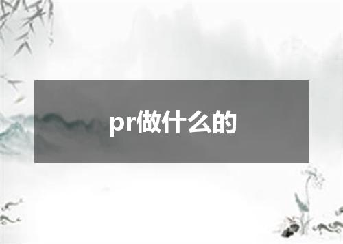 pr做什么的