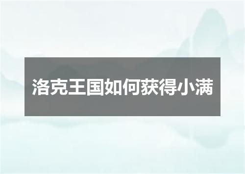 洛克王国如何获得小满
