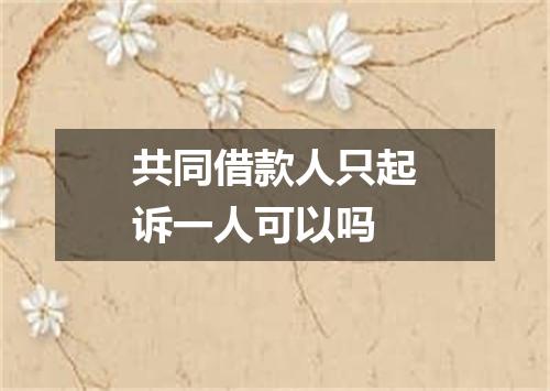 共同借款人只起诉一人可以吗