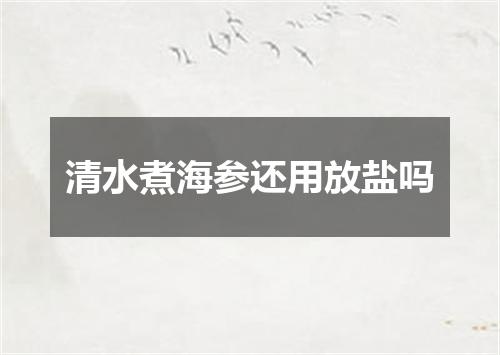 清水煮海参还用放盐吗