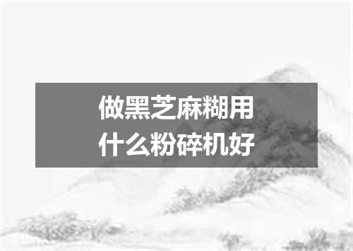 做黑芝麻糊用什么粉碎机好