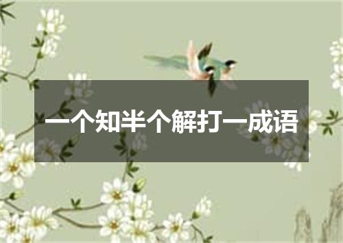 一个知半个解打一成语