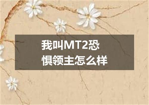 我叫MT2恐惧领主怎么样