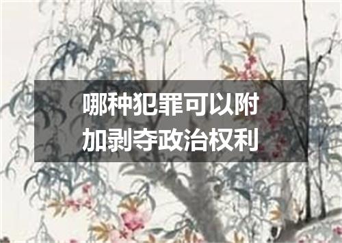 哪种犯罪可以附加剥夺政治权利