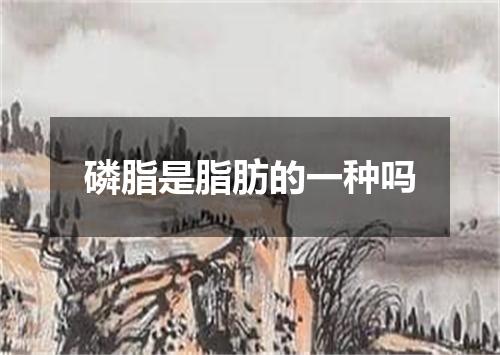 磷脂是脂肪的一种吗